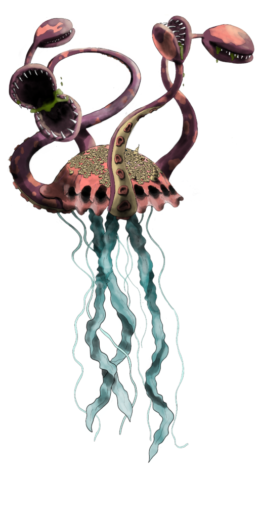 carukia