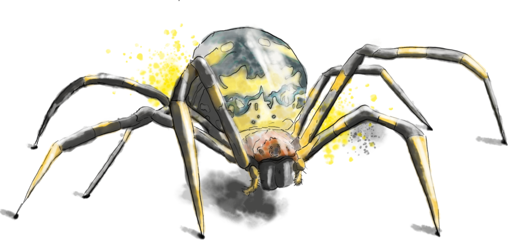 Araignee Geante Scaled E1771271531644 1024x492